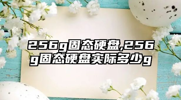 256g固態(tài)硬盤,256g固態(tài)硬盤實(shí)際多少g