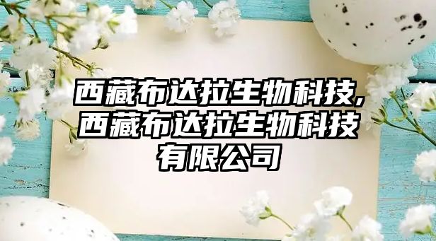 玉翠科技網(wǎng)