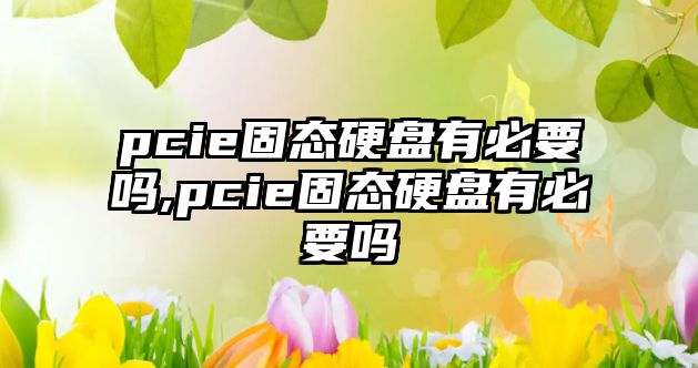 pcie固態硬盤有必要嗎,pcie固態硬盤有必要嗎