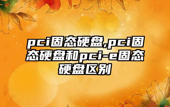 pci固態硬盤,pci固態硬盤和pci-e固態硬盤區別