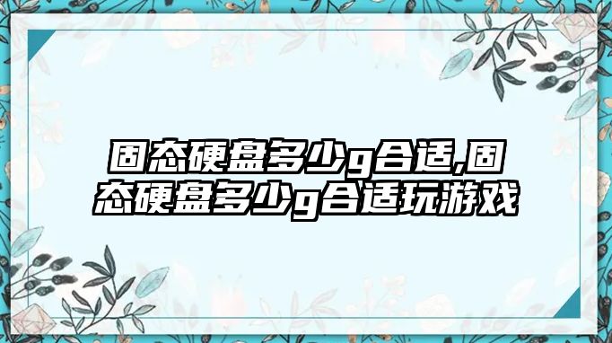 固態硬盤多少g合適,固態硬盤多少g合適玩游戲