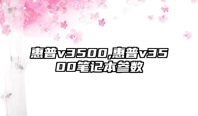 惠普v3500,惠普v3500筆記本參數