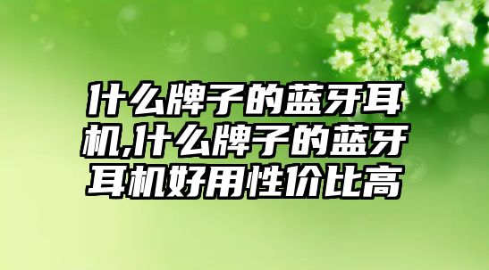 什么牌子的藍(lán)牙耳機(jī),什么牌子的藍(lán)牙耳機(jī)好用性價比高