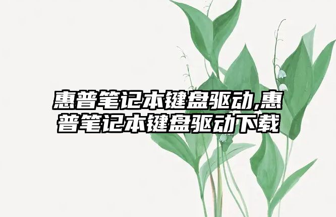 惠普筆記本鍵盤驅動,惠普筆記本鍵盤驅動下載