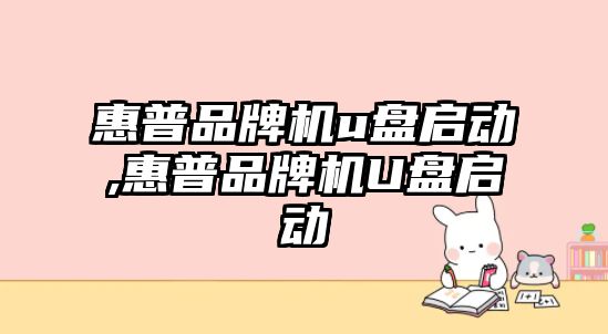 惠普品牌機u盤啟動,惠普品牌機U盤啟動