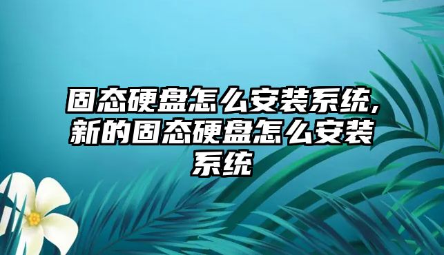 固態硬盤怎么安裝系統,新的固態硬盤怎么安裝系統