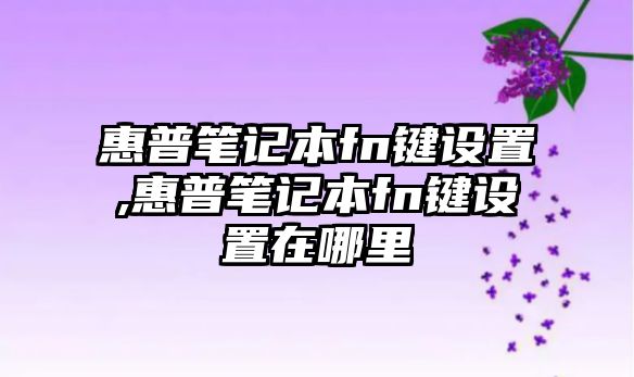 惠普筆記本fn鍵設置,惠普筆記本fn鍵設置在哪里