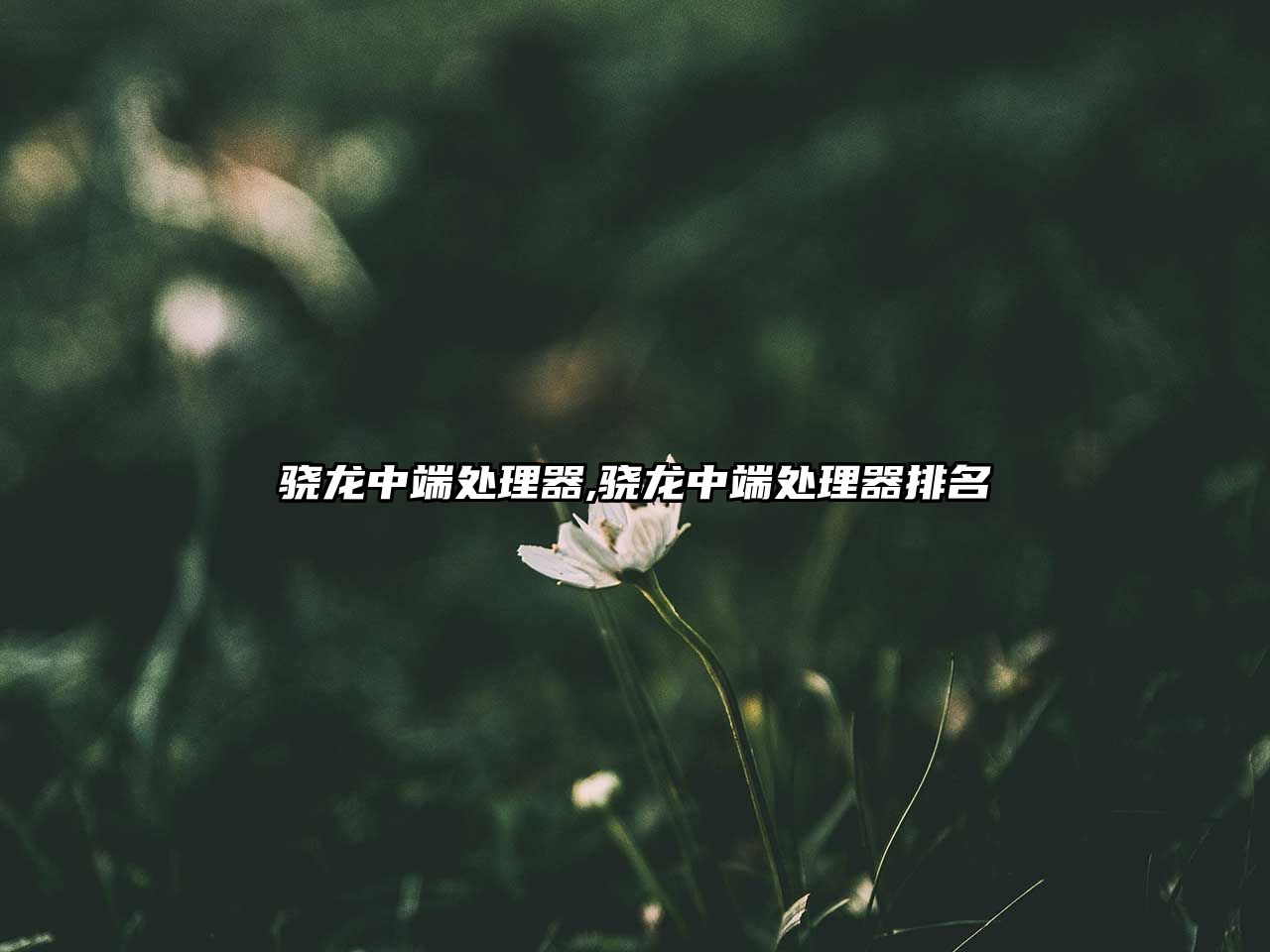 玉翠科技網(wǎng)